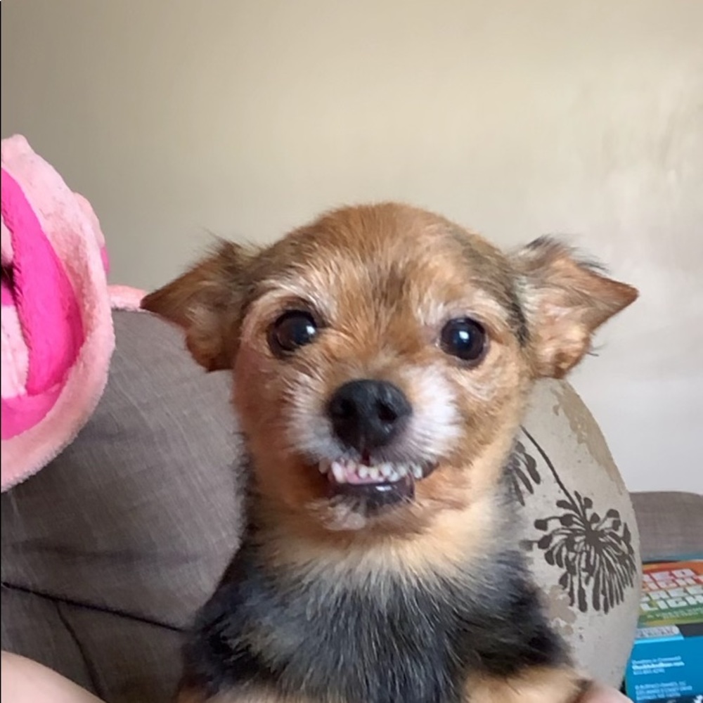 Meet your Posher, Ron tricia